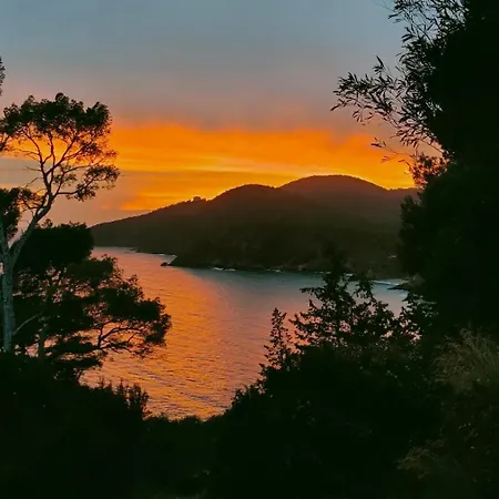 La Grande Bleue - Vue - Privée * Cavalaire-sur-Mer