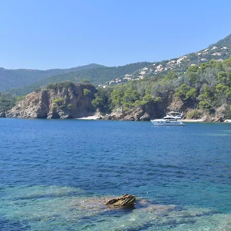 La Grande Bleue - Vue - Privée * Cavalaire-sur-Mer